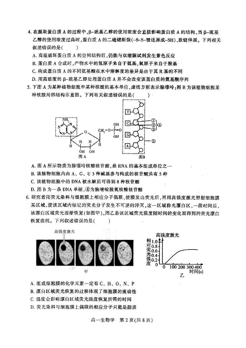 2025漯河高一上学期期末考试生物PDF版含答案第2页