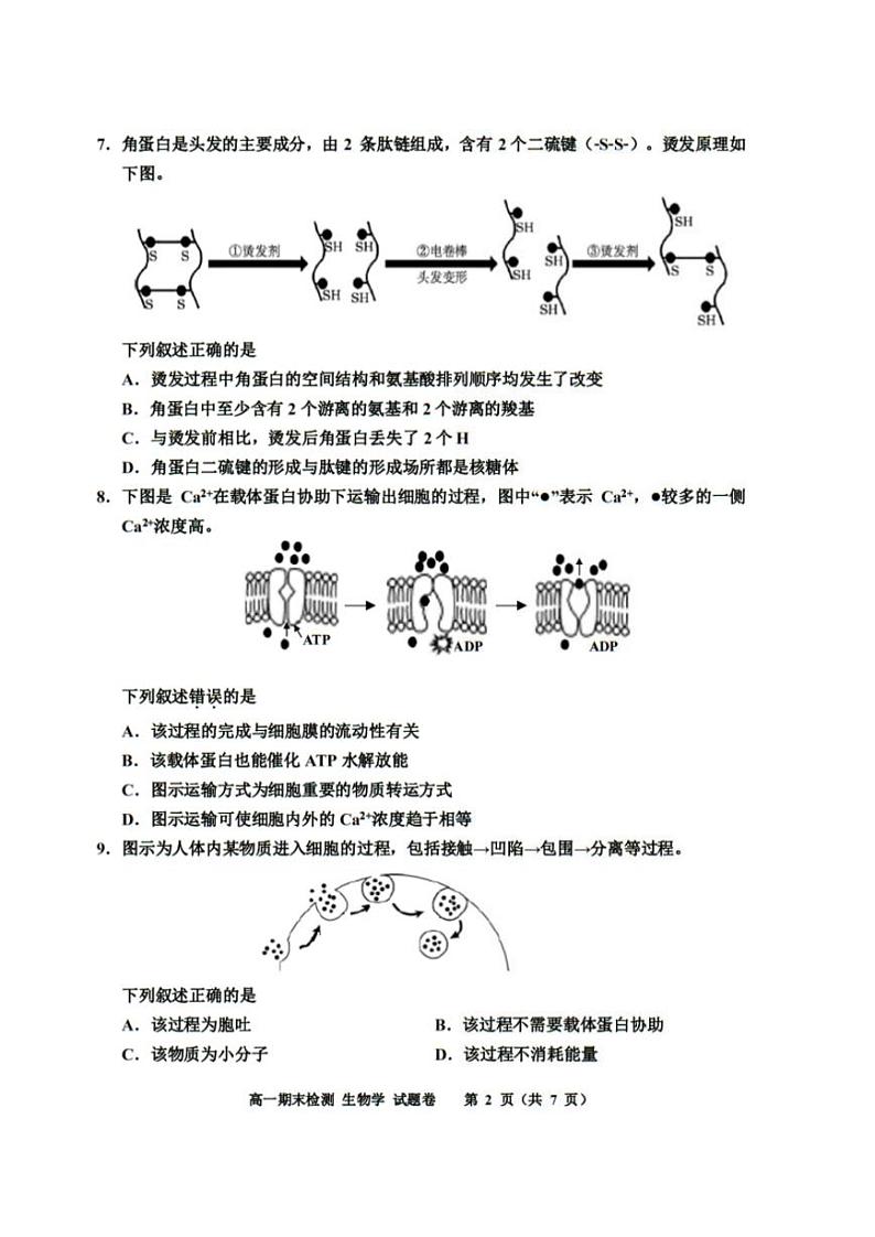 2025嘉兴高一上学期期末检测试题生物PDF版含答案第2页