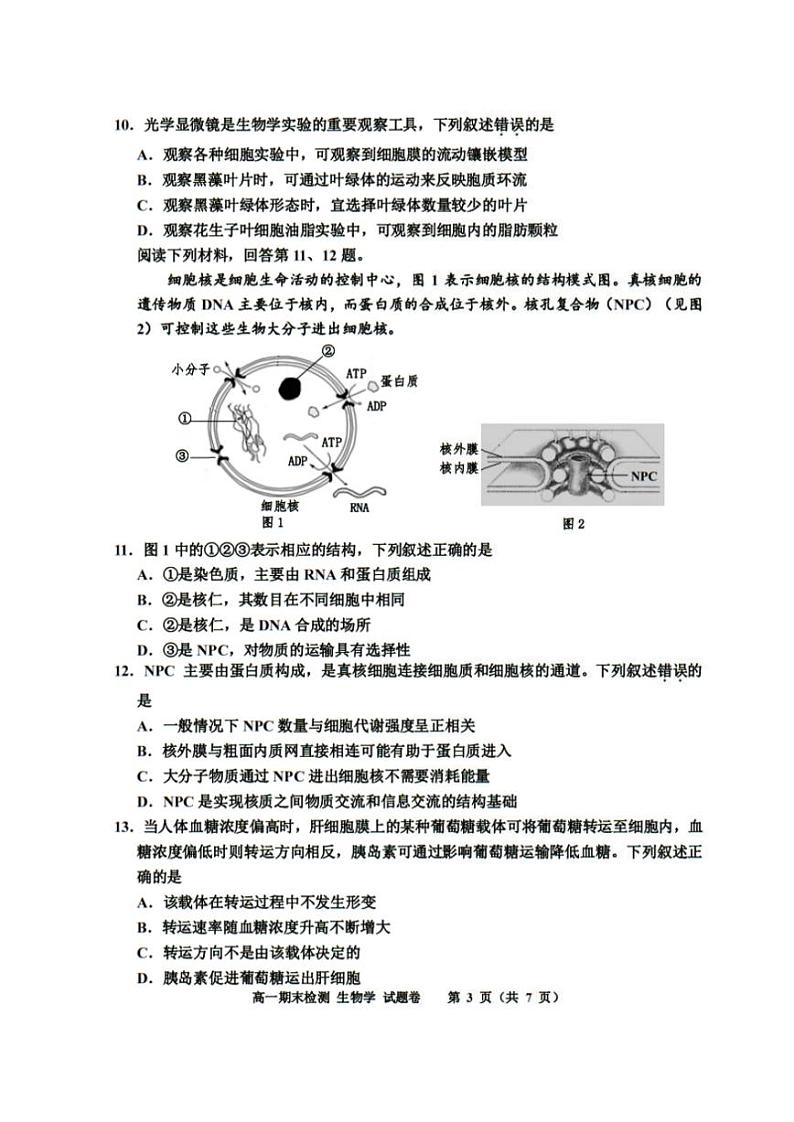 2025嘉兴高一上学期期末检测试题生物PDF版含答案第3页