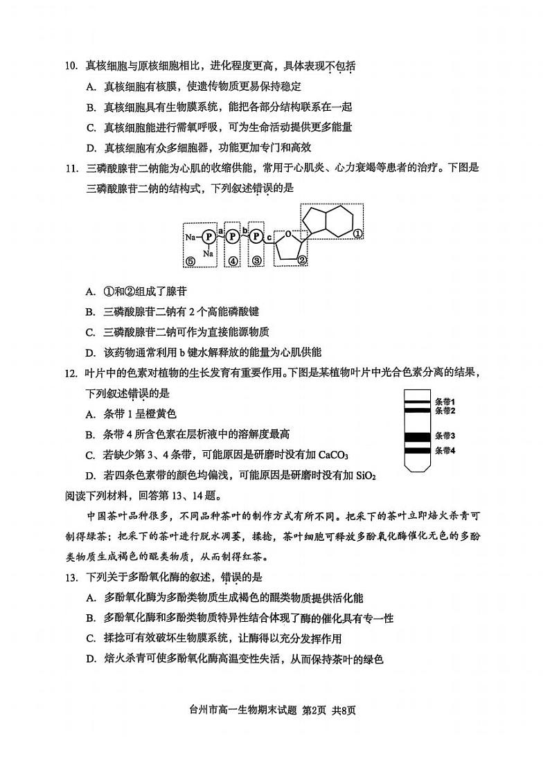 2025台州高一上学期期末考试生物PDF版含答案第2页