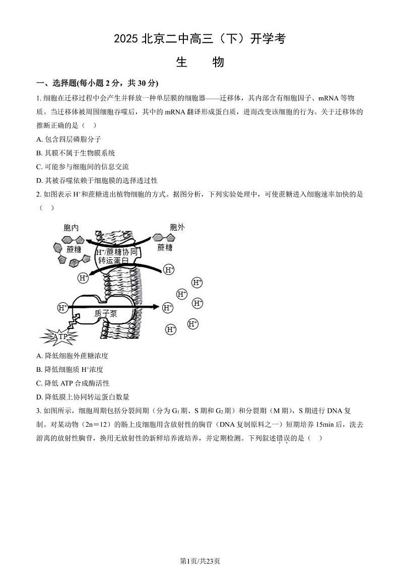 2025北京二中高三（下）开学考生物试卷（教师版）第1页