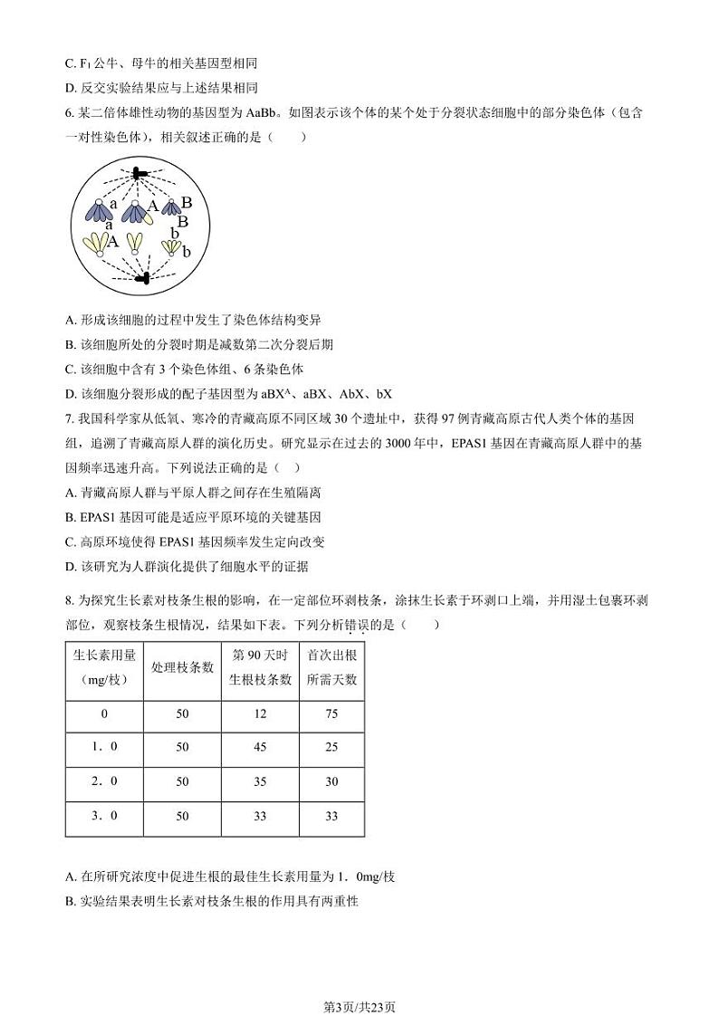 2025北京二中高三（下）开学考生物试卷（教师版）第3页