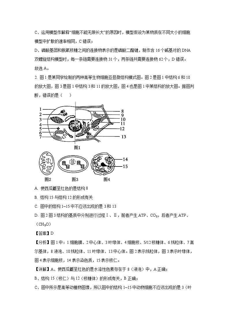 安徽省阜阳市2024~2025学年高三上学期教学质量统测生物试题（解析版）第2页