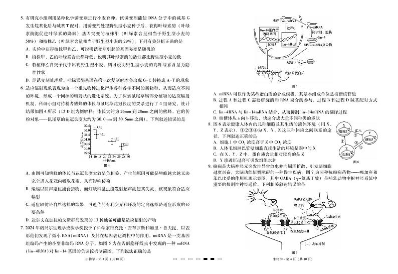 2025届云南三校高考备考实用性联考卷（六）生物-试卷第2页