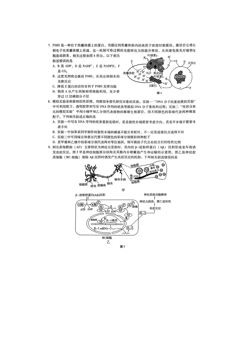 2025年重庆市巴蜀中学2025届高三2月高考适应性月考卷（五）生物试卷含答案第3页
