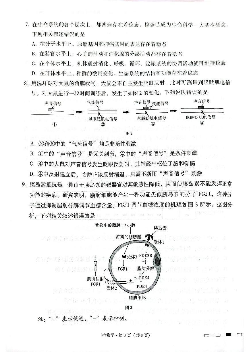 生物丨云南省师范大学附属中学2025届高三下学期2月开学考试生物试卷及答案第3页