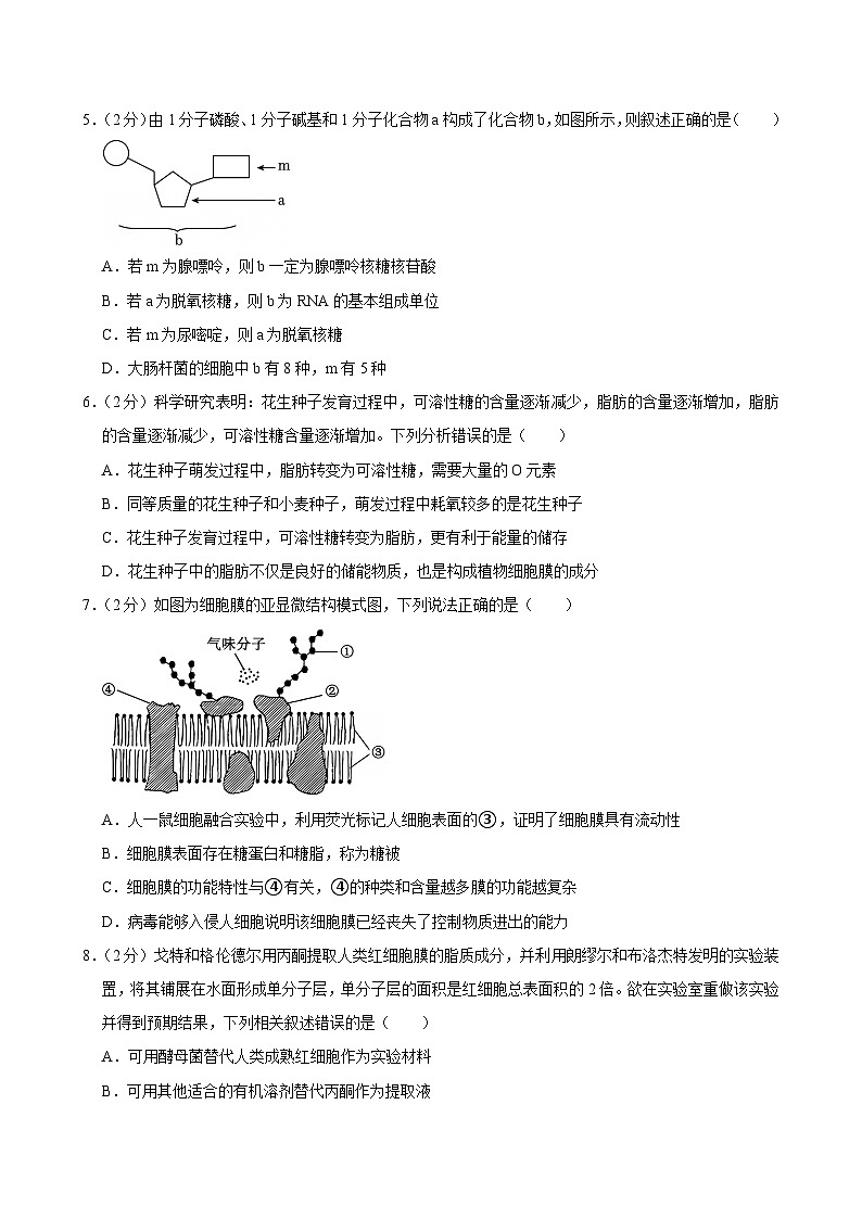 甘肃省兰州市第五十一中学2024-2025学年高一上学期期末考试生物试题第2页