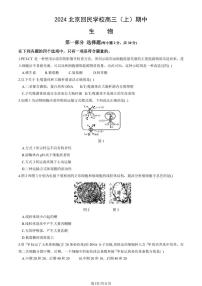 2024北京回民学校高三（上）期中生物试卷有答案