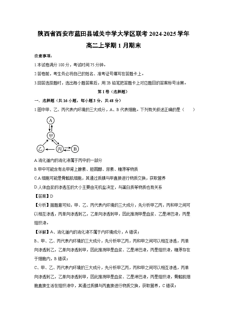 陕西省西安市蓝田县城关中学大学区联考2024-2025学年高二上1月期末生物试卷(解析版)第1页
