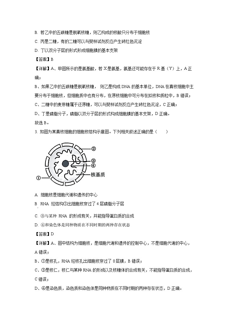 陕西省榆林市八校联考2024-2025学年高一(上)1月期末生物试卷（解析版）第2页