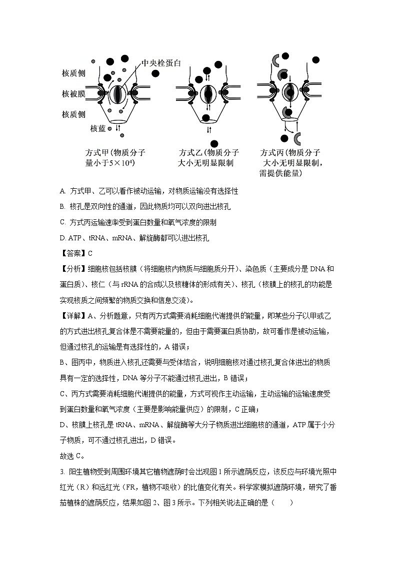 重庆市部分学校2024-2025学年高三模拟调研卷(一)生物试卷(解析版)第2页