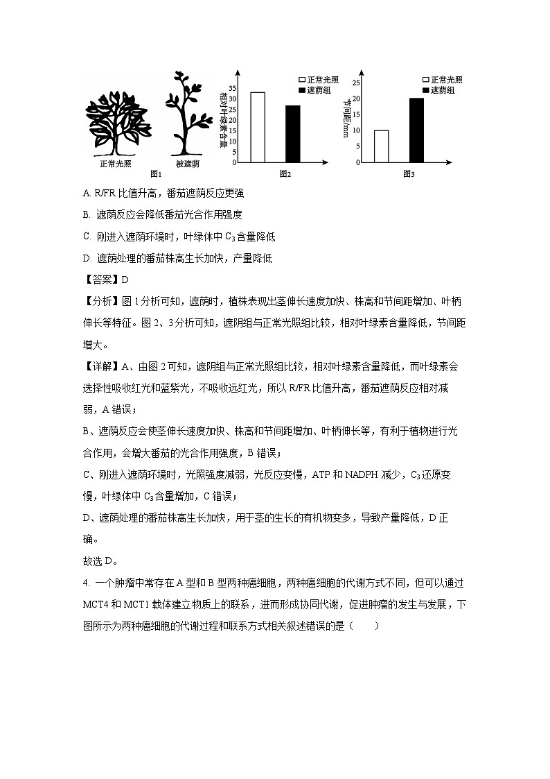 重庆市部分学校2024-2025学年高三模拟调研卷(一)生物试卷(解析版)第3页