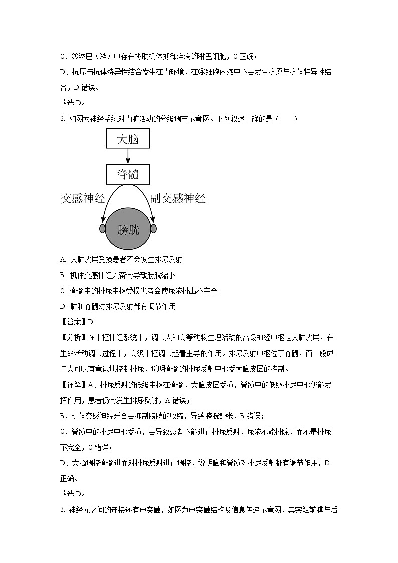 陕西省安康市2024-2025学年高二(上)1月期末生物试卷（解析版）第2页