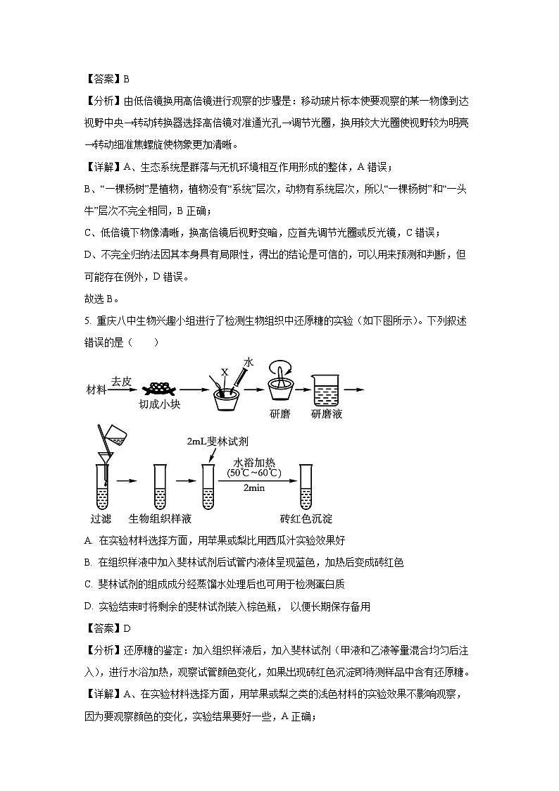 重庆市沙坪坝区重庆市第八中学校2024-2025学年高一上学期1月期末生物试卷（解析版）第3页