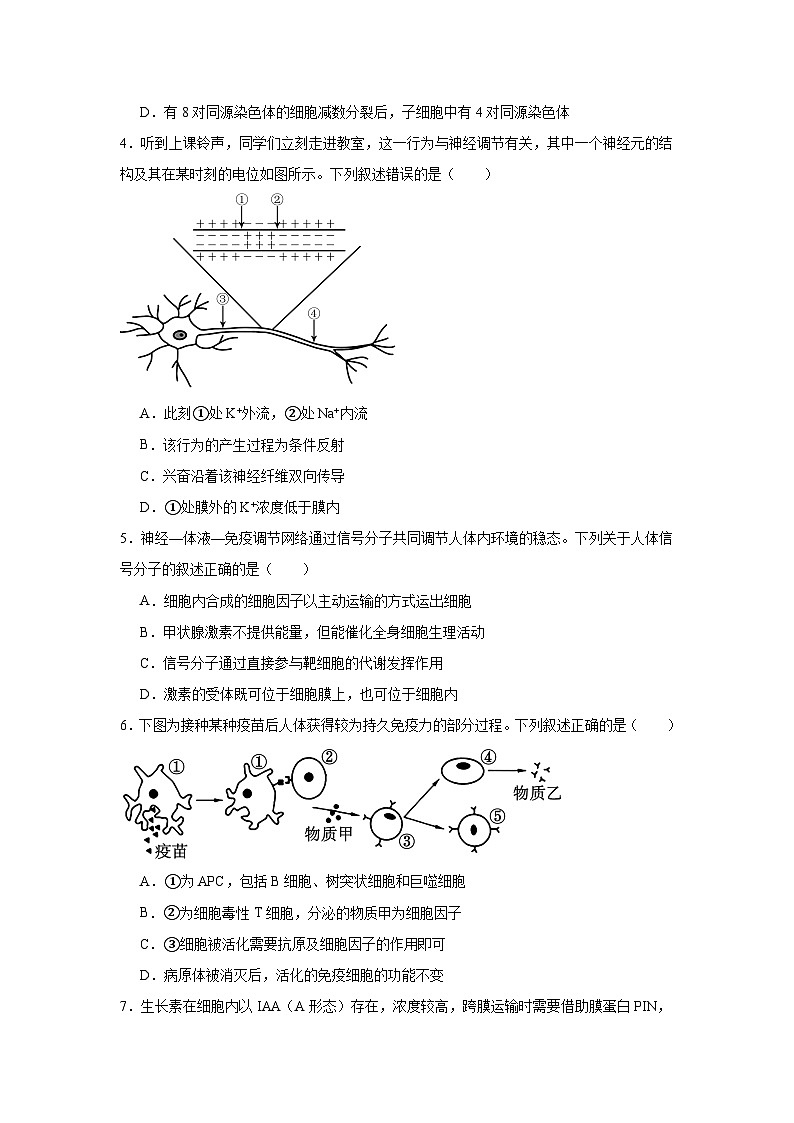 黑龙江省哈尔滨市重点三校（一中、六中、九中）2024-2025学年高三上学期期末联考生物试题第2页