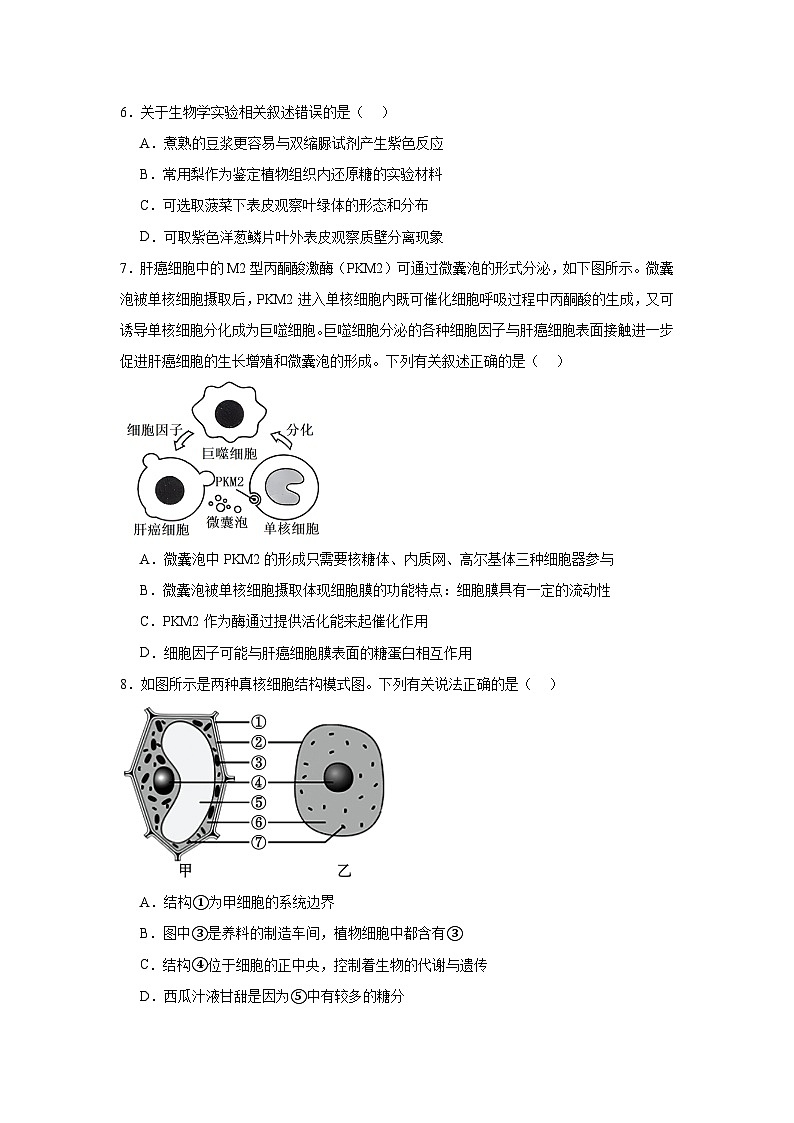黑龙江省齐齐哈尔市第八中学校2024-2025学年高一上学期12月月考生物试卷第2页