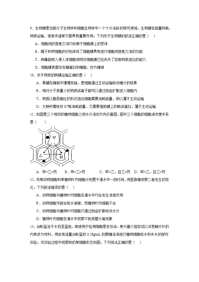 黑龙江省齐齐哈尔市第八中学校2024-2025学年高一上学期12月月考生物试卷第3页
