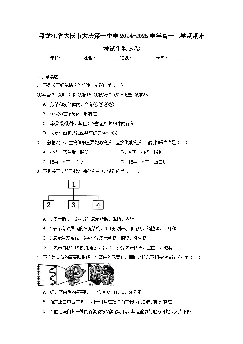 黑龙江省大庆市大庆第一中学2024-2025学年高一上学期期末考试生物试卷第1页