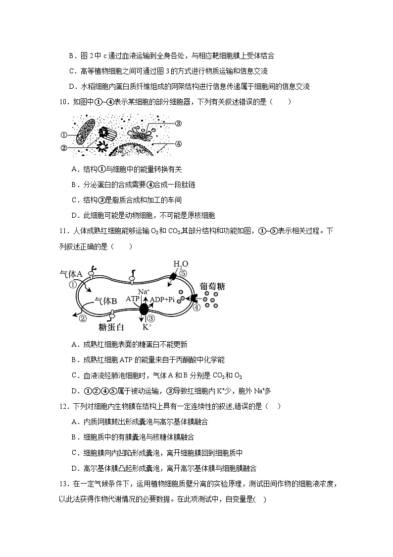 黑龙江省大庆市大庆第一中学2024-2025学年高一上学期期末考试生物试卷第3页