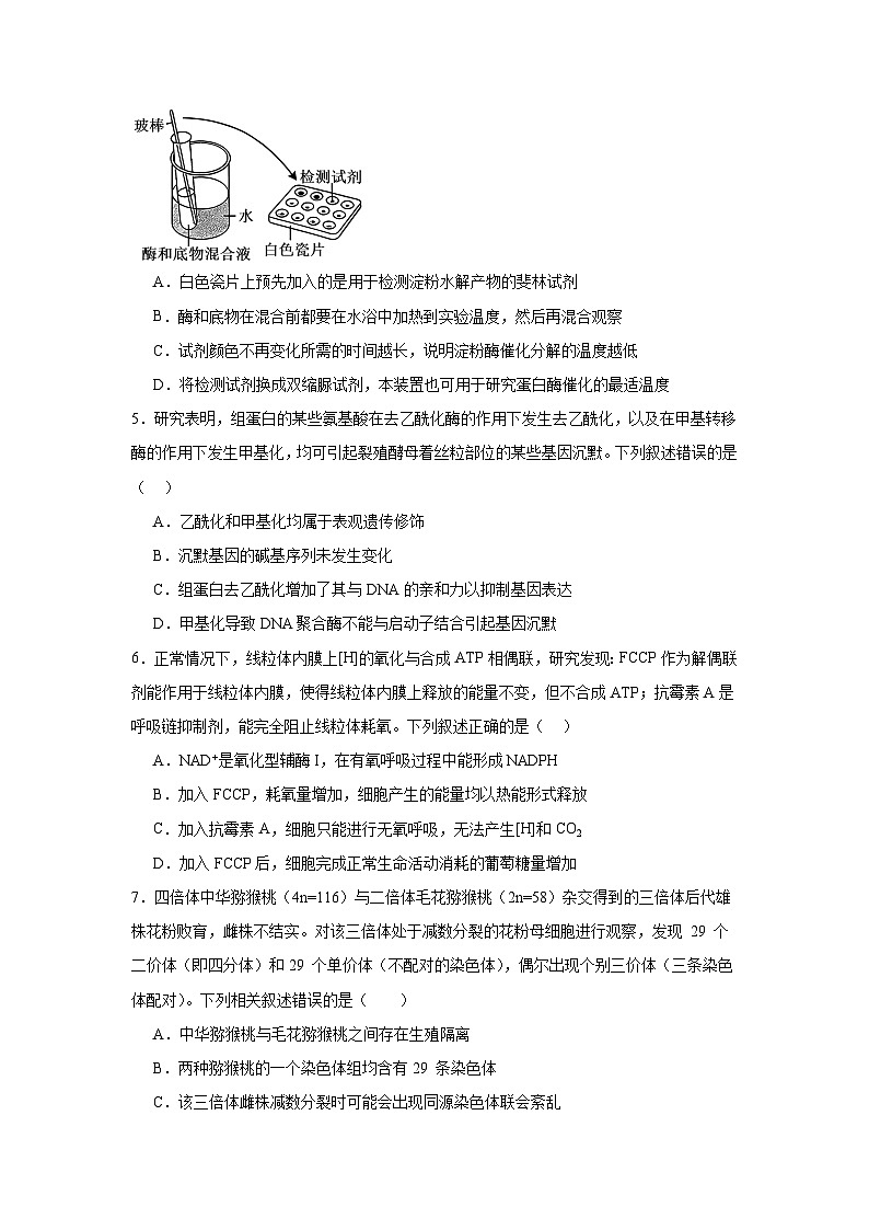 黑龙江省大庆市让胡路区大庆中学2024-2025学年高三上学期12月二模模拟生物试题第2页