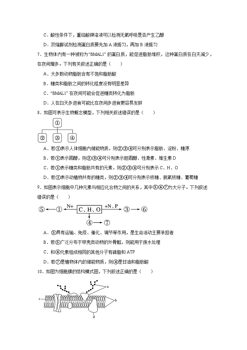 黑龙江省哈尔滨市第三中学2024—2025学年高一上学期期末考试生物试题第2页