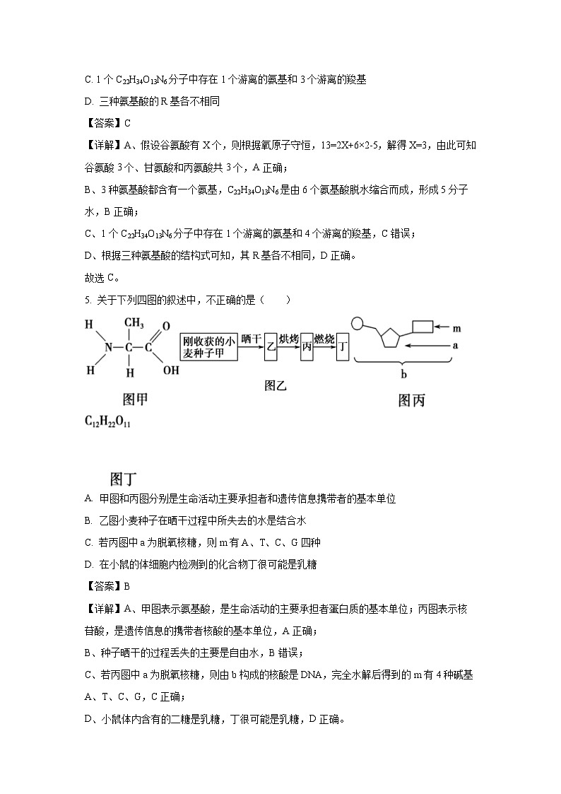 山西省太原某校2024-2025学年高一(上)10月月考生物试卷（解析版）第3页