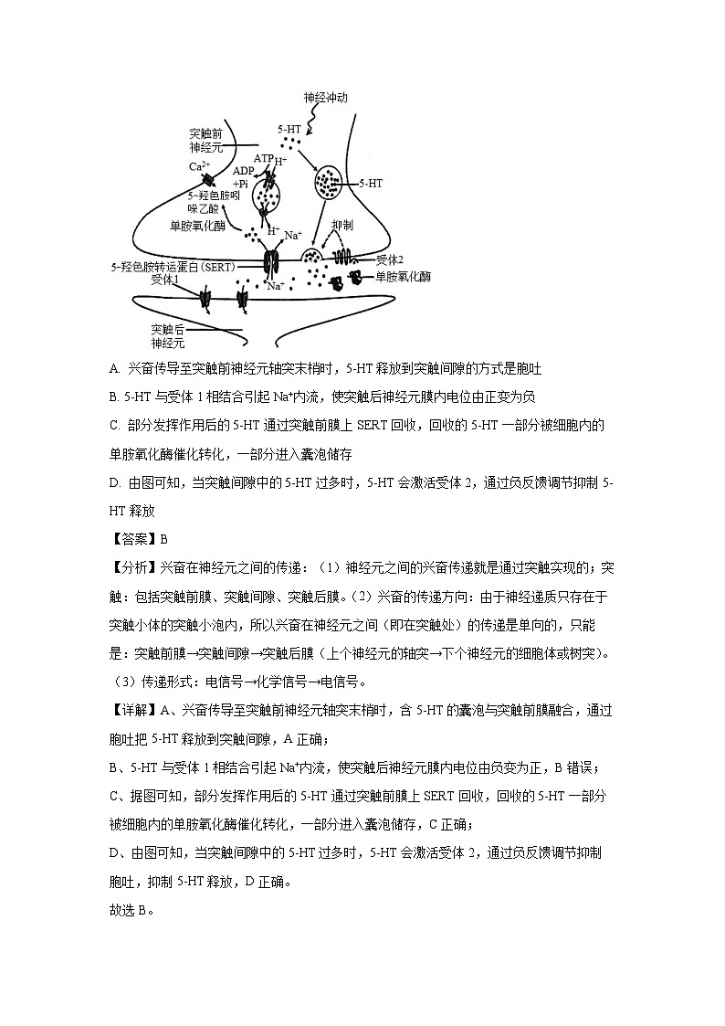 安徽省县中联考2024-2025学年高二(上)12月月考生物试卷（解析版）第3页