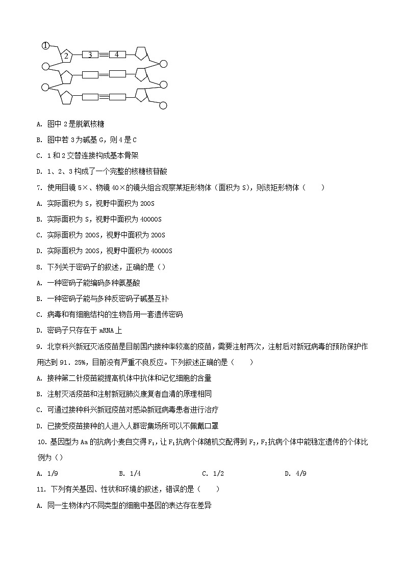 内蒙古自治区赤峰市红山区2023_2024学年高二生物上学期期末考试含解析第2页