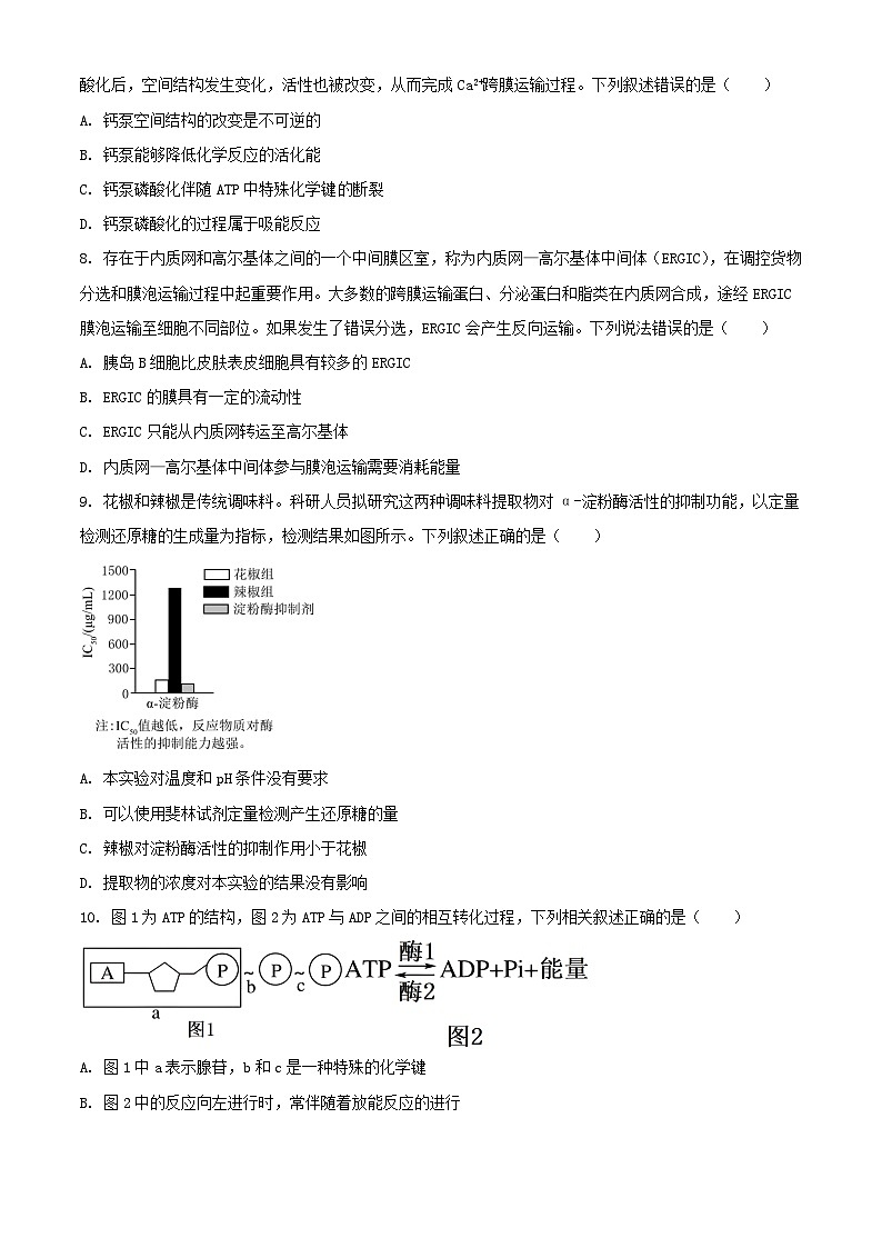山东省枣庄市薛城区2023_2024学年高一生物上学期期末考试含解析第2页