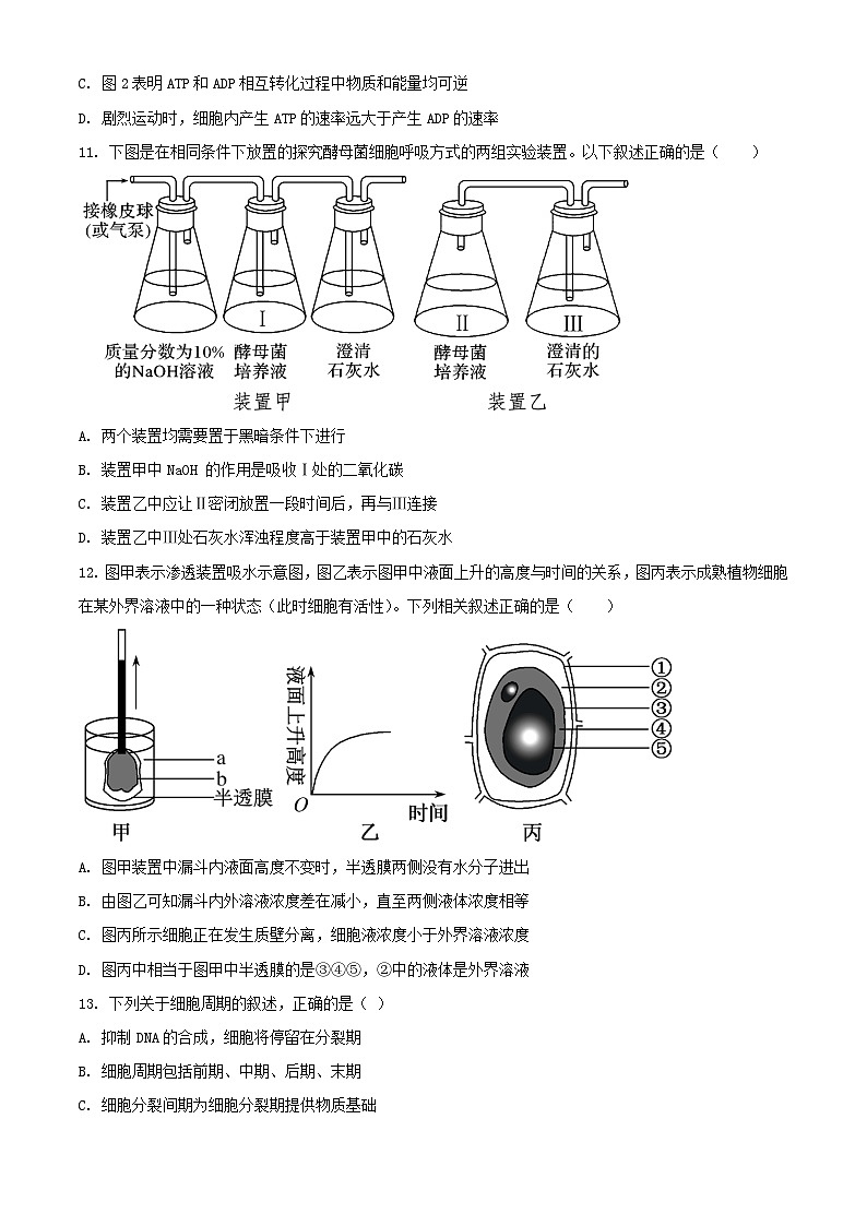 山东省枣庄市薛城区2023_2024学年高一生物上学期期末考试含解析第3页