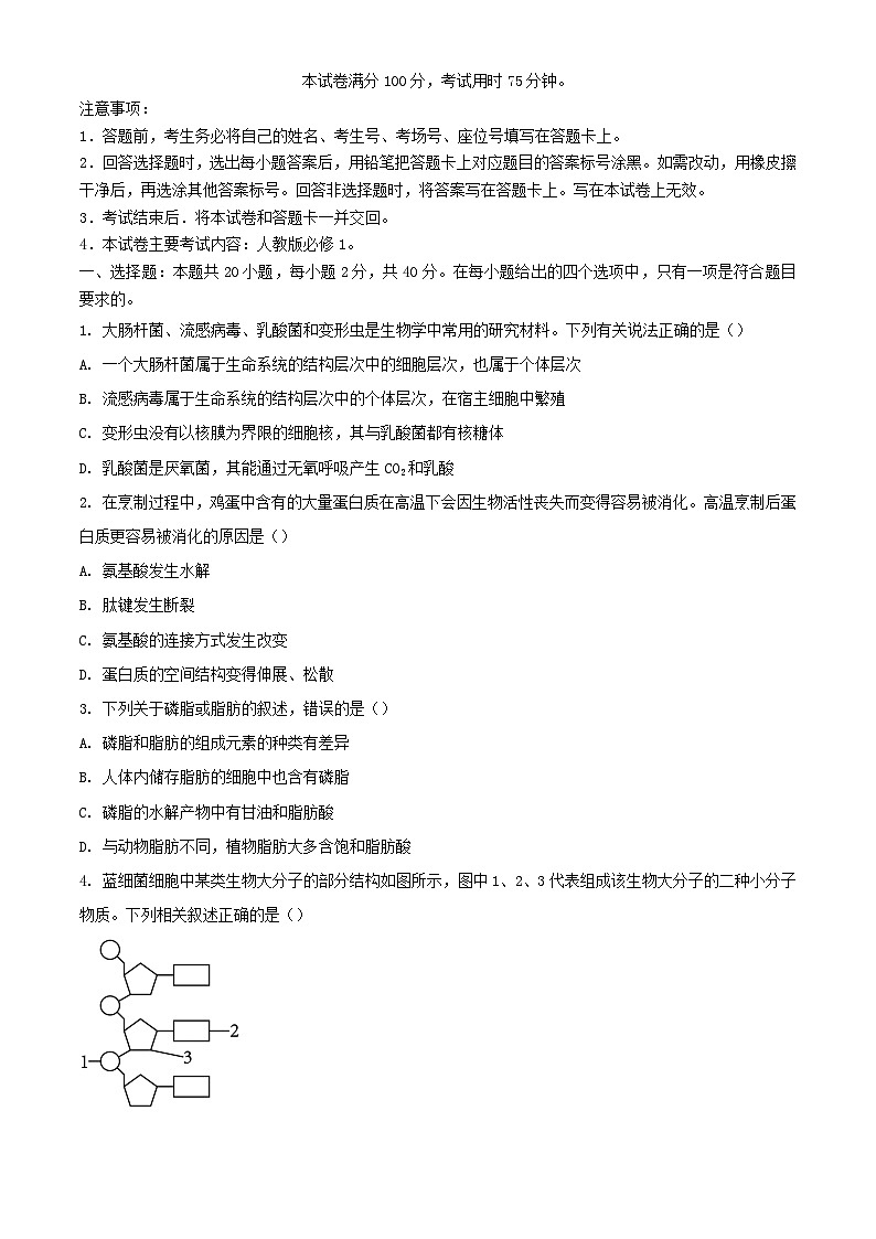 山西省忻州市2023_2024学年高一生物上学期1月期末考试含解析第1页