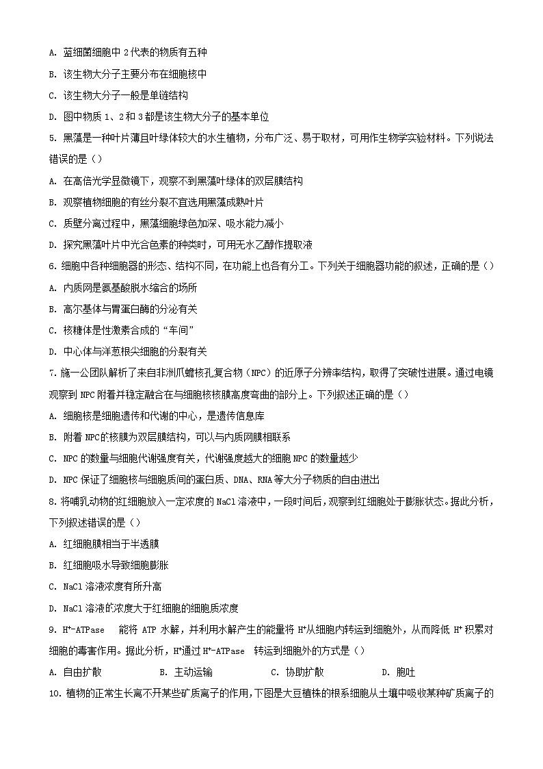 山西省忻州市2023_2024学年高一生物上学期1月期末考试含解析第2页