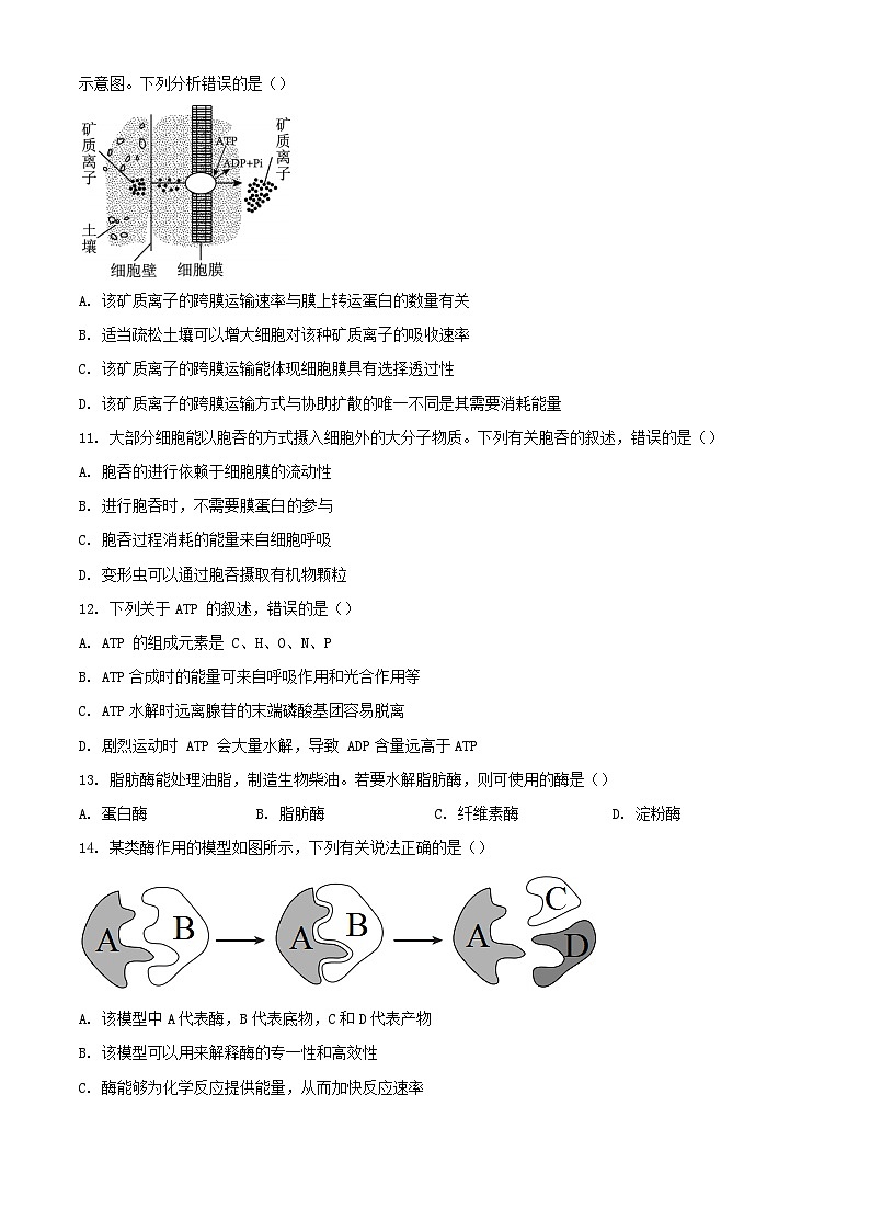 山西省忻州市2023_2024学年高一生物上学期1月期末考试含解析第3页