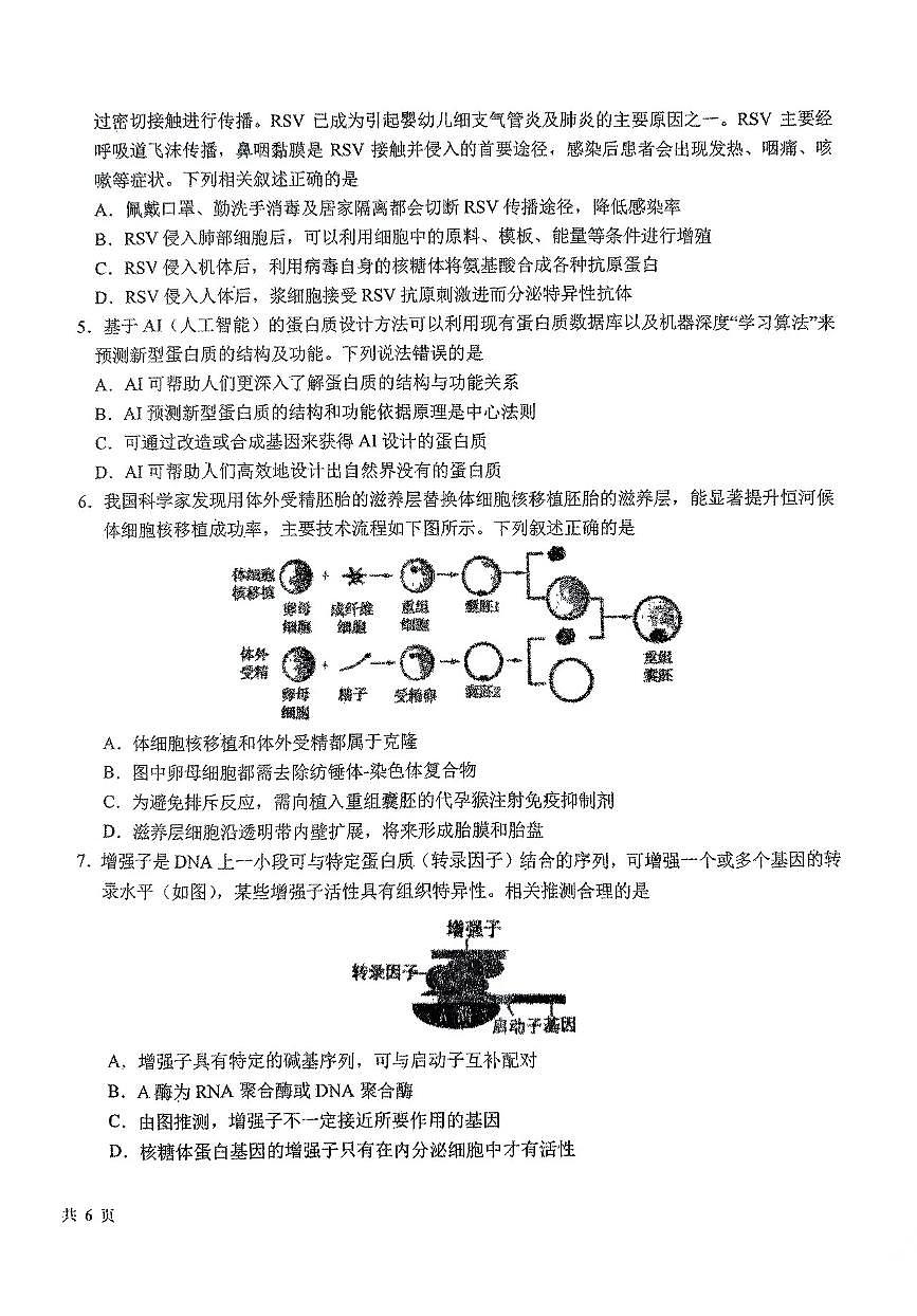东北师大附中2025届高三下学期开学考试-生物试题+答案第2页