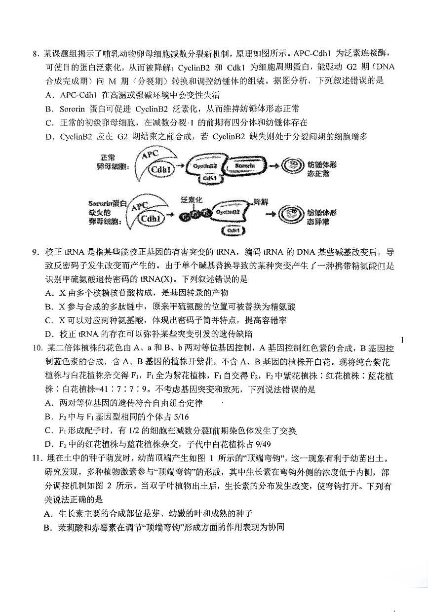 东北师大附中2025届高三下学期开学考试-生物试题+答案第3页