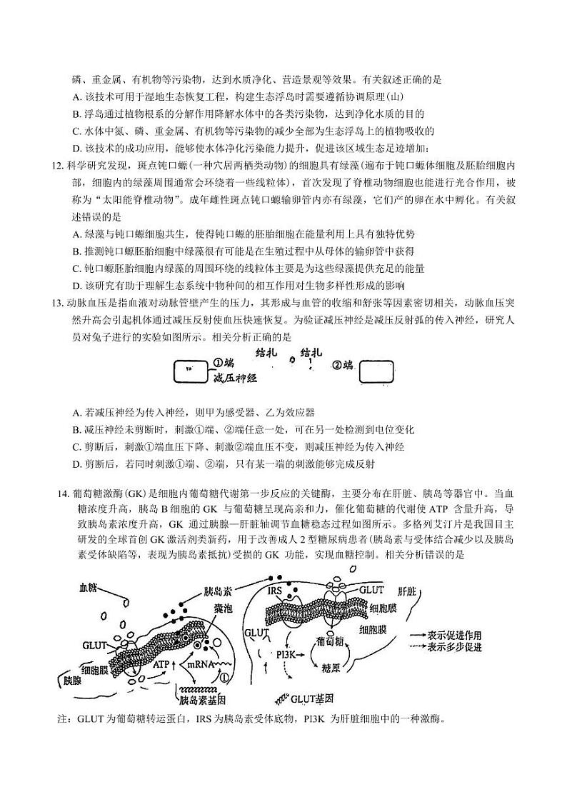 生物-广东省顺德区2024学年普通高中高三下学期2月教学质量检测（二）第3页