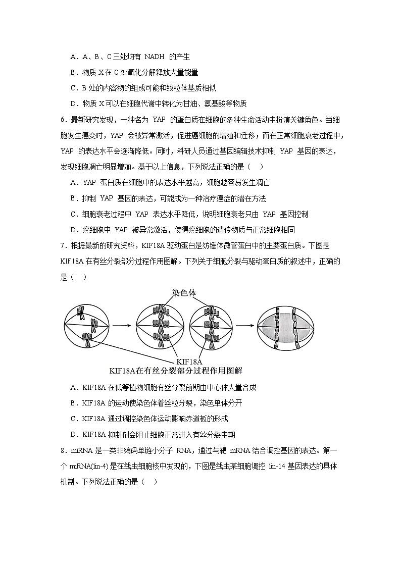 2025届四川省部分学校高三下学期第一次质量联合测评生物试题第3页