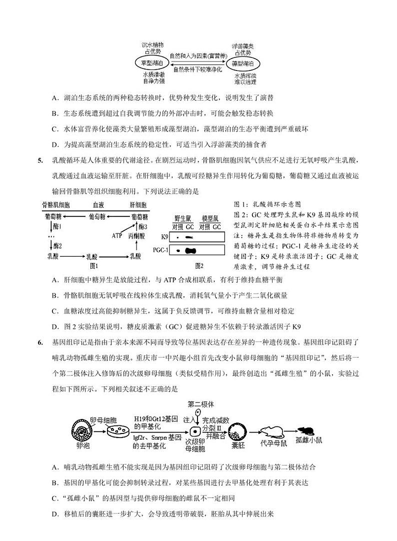 重庆市第一中学校2025届高三下学期2月开学考试生物+答案第2页