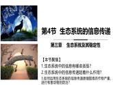 3.4 生态系统的信息传递-2024-2025学年高二生物探究与应用优质备课课件（人教版2019选择性必修2）