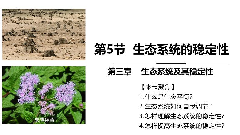 3.5 生态系统的稳定性-2024-2025学年高二生物探究与应用优质备课课件（人教版2019选择性必修2）第1页