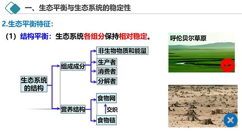 3.5 生态系统的稳定性-2024-2025学年高二生物探究与应用优质备课课件（人教版2019选择性必修2）第5页