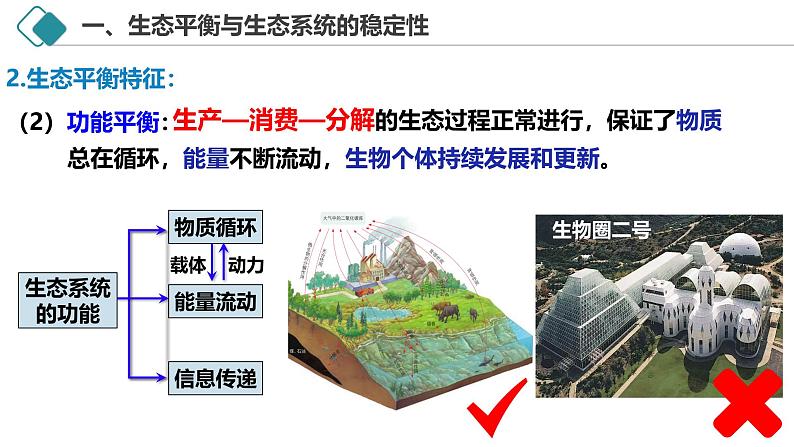 3.5 生态系统的稳定性-2024-2025学年高二生物探究与应用优质备课课件（人教版2019选择性必修2）第6页