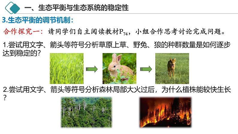 3.5 生态系统的稳定性-2024-2025学年高二生物探究与应用优质备课课件（人教版2019选择性必修2）第8页