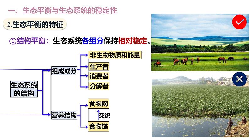 3.5 生态系统的稳定性-2024-2025学年高二生物优质课件（人教版2019选择性必修2）第6页