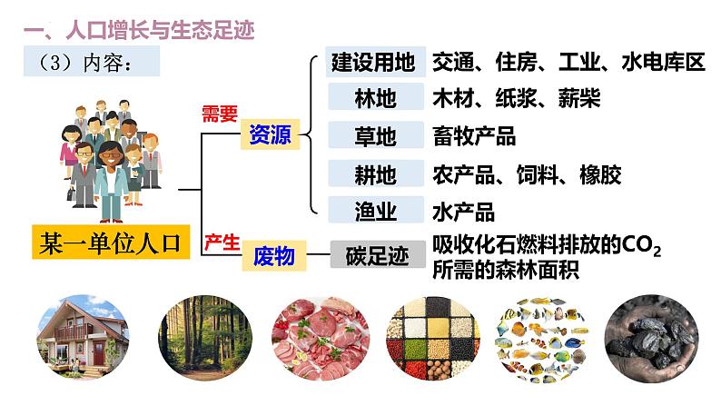 4.1 人类活动对生态环境的影响-2024-2025学年高二生物优质课件（人教版2019选择性必修2）第5页