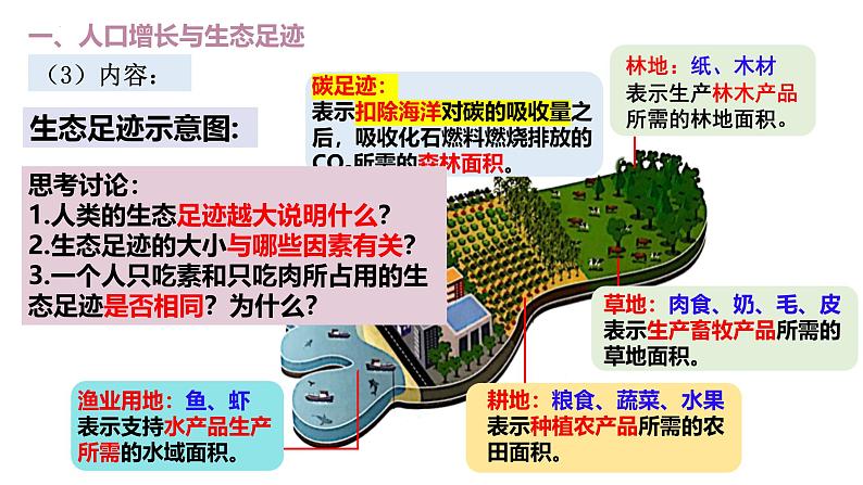 4.1 人类活动对生态环境的影响-2024-2025学年高二生物优质课件（人教版2019选择性必修2）第6页