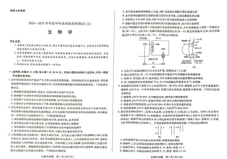 河南天一大联考2025届高三下学期月考阶段性测试（五）-生物试题+答案第1页