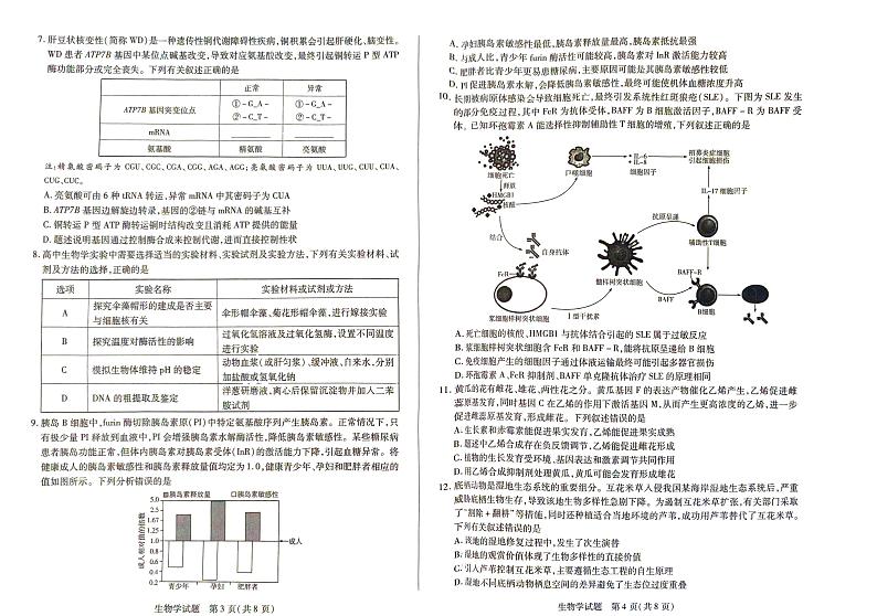 河南天一大联考2025届高三下学期月考阶段性测试（五）-生物试题+答案第2页