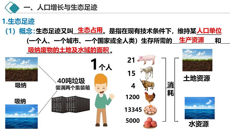 4.1 人类活动对生态环境的影响-2024-2025学年高二生物探究与应用优质备课课件（人教版2019选择性必修2）第4页