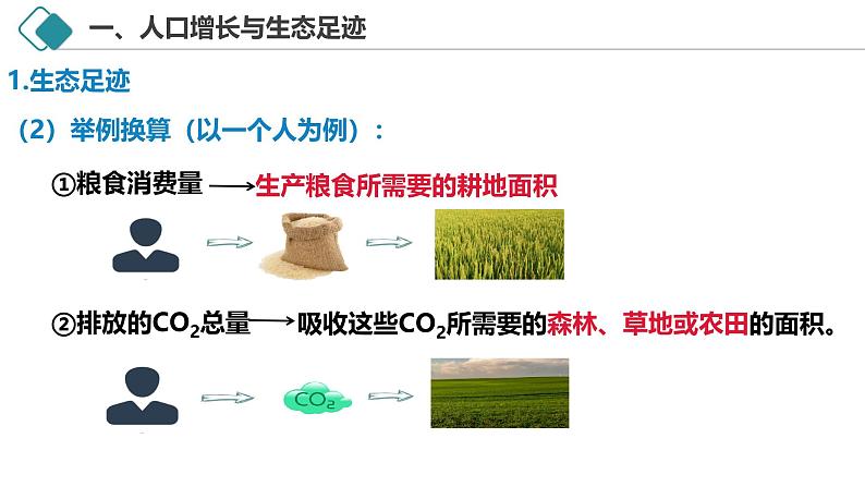 4.1 人类活动对生态环境的影响-2024-2025学年高二生物探究与应用优质备课课件（人教版2019选择性必修2）第5页